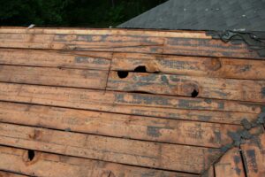 roof repair in Colorado