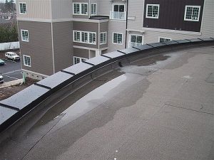 flat roof with water