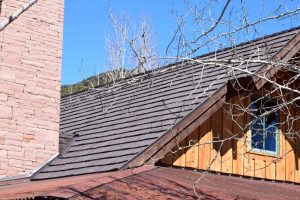Roof Maintenance Mistakes