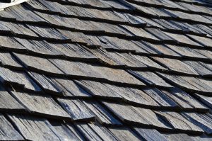 green roofs showing shingles