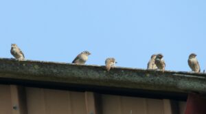 damage to your gutters