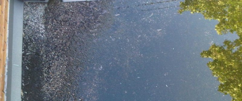 Prevent Winter Roofing Damage Caused by Ice Dams